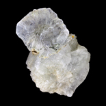 Tunellite